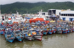 Cần sớm xây dựng khu neo đậu tránh trú bão cho tàu cá Tam Quan