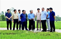 Bộ trưởng Lê Minh Hoan: An Giang phát huy lợi thế để tăng trưởng kinh tế ổn định