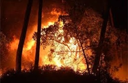 Nhóm cứu hỏa quốc tế hỗ trợ Cyprus dập tắt cháy rừng