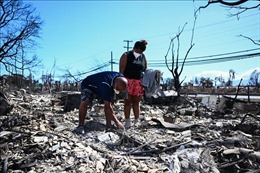 Thảm họa cháy rừng ở Hawaii: Hạt Maui kiện công ty điện lực Hawaii