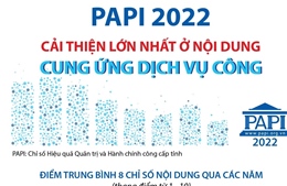 PAPI 2022: Cải thiện lớn nhất ở nội dung Cung ứng dịch vụ công