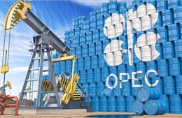 OPEC+ đối mặt với 5 năm chống đỡ trước sự sụp đổ của giá dầu