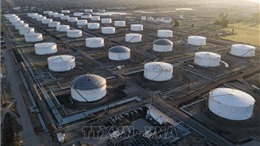Mỹ tìm mua 3 triệu thùng dầu cho kho dự trữ chiến lược