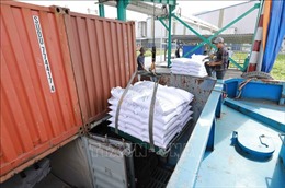 Doanh nghiệp Việt trúng thầu 300.000 tấn gạo xuất sang Indonesia