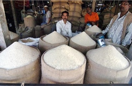 Nhu cầu của thị trường tác động mạnh tới giá gạo Ấn Độ và Thái Lan