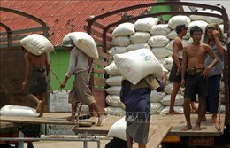 Myanmar có thể hạn chế xuất khẩu gạo