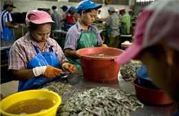 Thái Lan gia hạn lưu trú cho lao động nhập cư từ Myanmar, Lào, Campuchia và Việt Nam