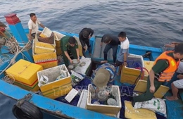 Quảng Ngãi lên phương án thăm dò tàu cổ đắm tại vùng biển Bình Sơn