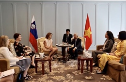 TP Hồ Chí Minh mong muốn Slovenia hỗ trợ, hợp tác về chuyển đổi số, vận tải biển