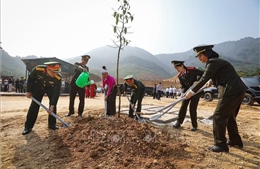 Lực lượng vũ trang Quân khu 3 phấn đấu trồng 198 nghìn cây xanh và 30 ha rừng năm 2024