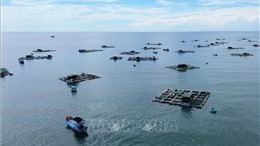 Kinh tế biển - nền tảng phát triển bền vững