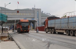 Lạng Sơn thúc đẩy xuất nhập khẩu hàng hóa qua cửa khẩu Chi Ma