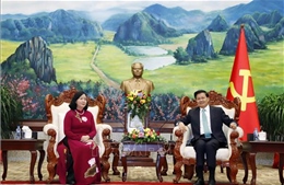 Đoàn đại biểu cấp cao Đảng Cộng sản Việt Nam thăm và làm việc tại Lào