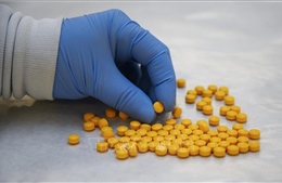 Trung Quốc ngăn chặn việc buôn bán các chất dùng để sản xuất ma túy