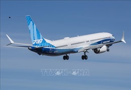 Boeing chấp nhận lệnh cấm của FAA về máy bay 737 MAX