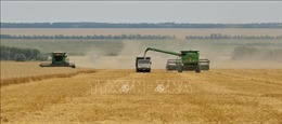 EU đề xuất đánh thuế cao với nông sản nhập khẩu từ Nga, Belarus