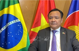 Đại sứ Bùi Văn Nghị: Brazil quan tâm thúc đẩy quan hệ với Việt Nam