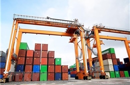 Vụ nghi lừa đảo xuất khẩu nông sản sang UAE: Đã thu hồi được tiền hàng của 4/5 container