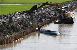Nguồn nước về Đồng bằng sông Cửu Long tiếp tục có xu thế giảm