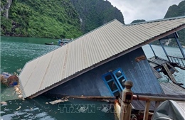 Khu Bảo tồn lớp học làng chài trên Vịnh Hạ Long bị chìm do xuống cấp