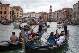 Venice kêu gọi du khách cảnh giác với nguy cơ bị hải âu tấn công