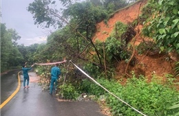 Tuyến đường nối Bình Phước và Lâm Đồng sạt lở nghiêm trọng
