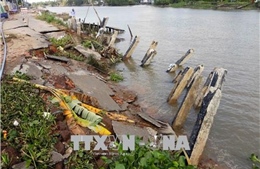 Trà Vinh công bố tình huống khẩn cấp sự cố sạt lở bờ sông Cần Chông