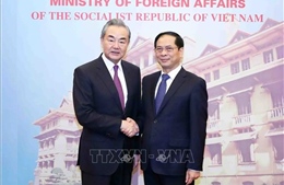 Hội đàm hai Bộ trưởng Ngoại giao Việt Nam - Trung Quốc
