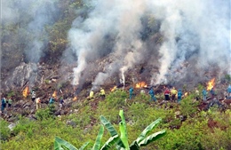 Cơ bản khống chế được vụ cháy rừng tại huyện Mường La, Sơn La