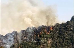 Khống chế đám cháy trên núi đá vôi ở huyện Mai Sơn, Sơn La
