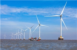 Đầu tư điện gió ngoài khơi: Vẫn vướng và chưa hấp dẫn