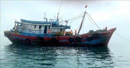 Bắt giữ 4 tàu cá vi phạm trong khai thác hải sản