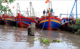 Ứng phó với bão số 5: Thái Bình cấm biển từ 6 giờ ngày 19/10