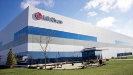 Hãng LG &#39;bắt tay&#39; với công ty Mỹ phát triển nguyên liệu nhựa sinh học