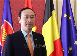 Đại sứ Nguyễn Văn Thảo: Việt Nam luôn là đối tác quan trọng của EU