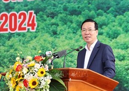 Chủ tịch nước dự Lễ phát động Tết trồng cây &#39;Đời đời nhớ ơn Bác Hồ&#39;