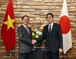 Chủ tịch nước Võ Văn Thưởng hội đàm với Thủ tướng Nhật Bản Kishida