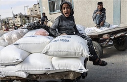Đức viện trợ 50 triệu euro cho người dân Dải Gaza