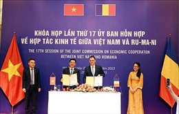 Nhiều triển vọng trong quan hệ thương mại Việt Nam - Romania