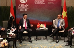 Việt Nam - Indonesia thúc đẩy quan hệ hợp tác kinh tế, thương mại