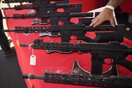 Mexico kháng cáo trong vụ kiện các nhà sản xuất vũ khí Mỹ