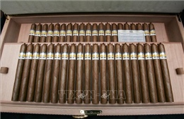 Đấu giá xì gà tại Anh, Cuba thu về 5 triệu Euro