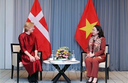 Phó Chủ tịch nước Võ Thị Ánh Xuân tiếp Chủ tịch Hội hữu nghị Đan Mạch - Việt Nam