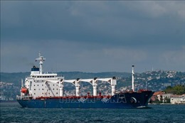 Ukraine xuất khẩu khoảng 7 triệu tấn hàng hóa qua hành lang trên Biển Đen