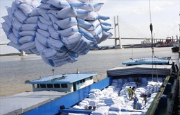 Phê duyệt Chiến lược phát triển thị trường xuất khẩu gạo Việt Nam 