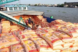 Xuất khẩu gạo tiếp tục thuận lợi