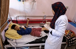 EU kêu gọi tạm dừng giao tranh ở Gaza vì mục đích nhân đạo