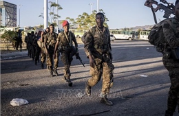 IGAD kêu gọi các bên tham chiến ở Ethiopia tiếp tục đàm phán