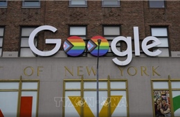 Google sẽ đầu tư 15 tỷ USD xây trung tâm dữ liệu AI lớn nhất tại Ấn Độ