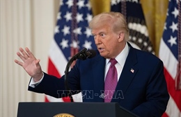 Liên minh 25 bang do đảng Dân chủ lãnh đạo kiện chính quyền Tổng thống Trump